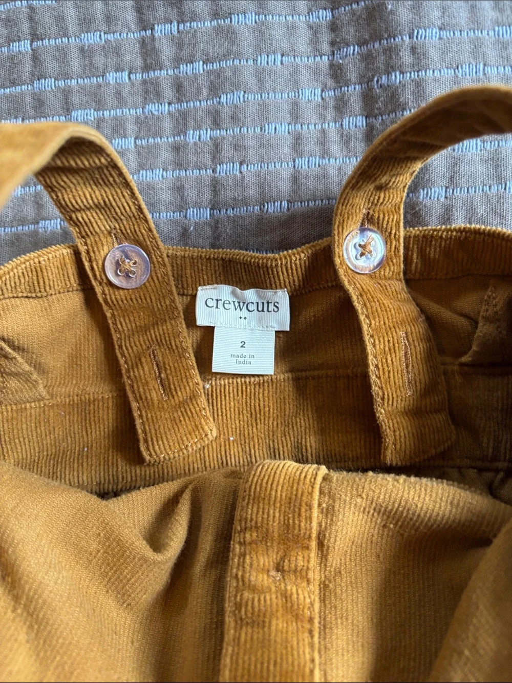 Crewcuts perfect fall